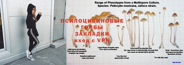 тгк Лихославль