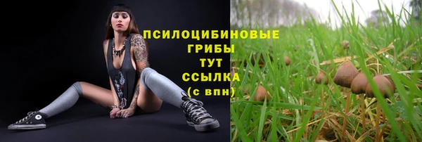 spice Магас