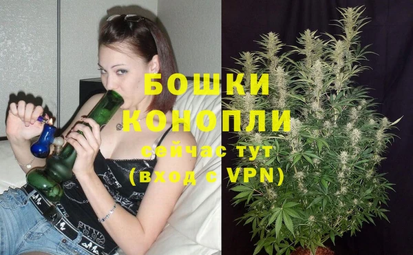 соль курить ск Липки